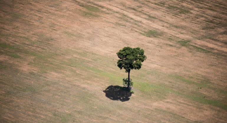 Nota de repúdio ao PL da Devastação Ambiental
