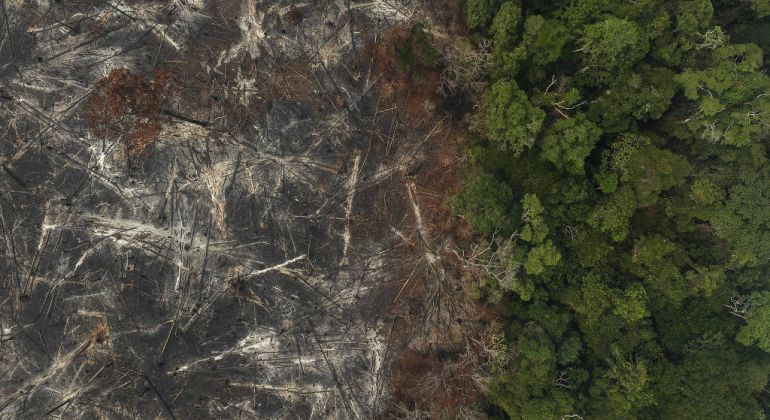 Plano Clima ainda tem pendências 50 dias após governo Lula anunciar aprovação