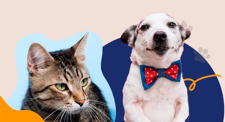 Presença de animais de pequeno porte na Sede Campestre será permitida a partir do próximo final de semana