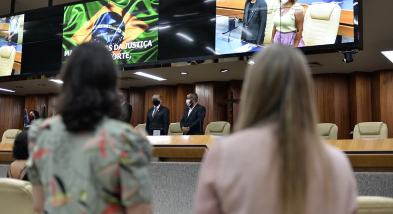 Professores indicados pelo Adufg recebem Comenda Colemar Natal e Silva