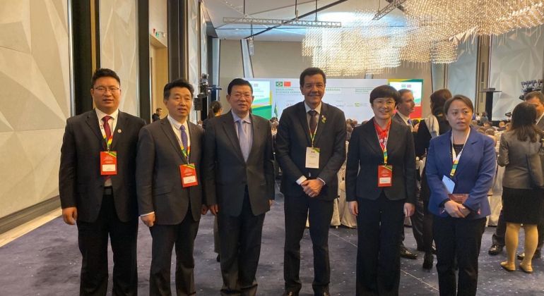 UFG cria o Instituto Confúcio de Medicina Tradicional Chinesa