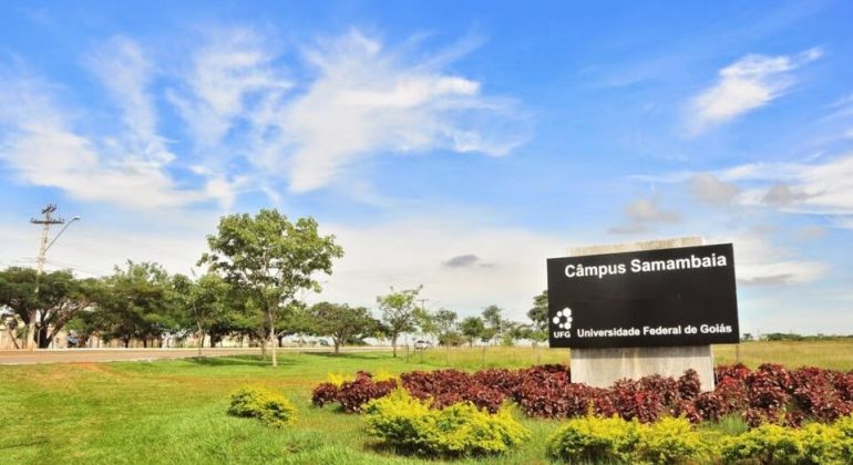UFG está em ranking das mil melhores universidades do mundo