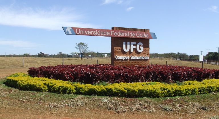 UFG oferece curso online gratuito com 30 mil vagas; veja como se inscrever