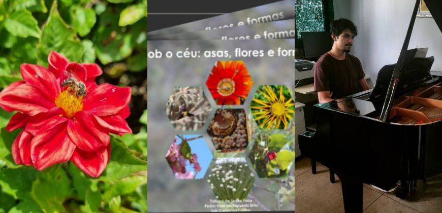 Quarta Cultural: “Sob o Céu: Asas, Flores e Formas”